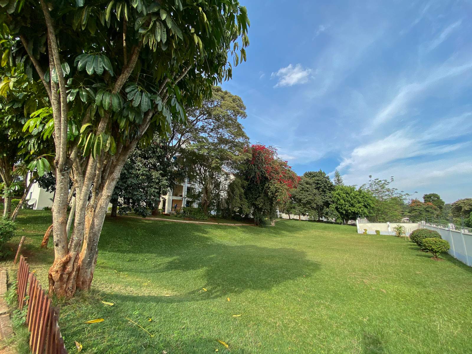 Cape Gardens - Gallery 20